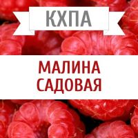 КХПА - Малина садовая 10мл