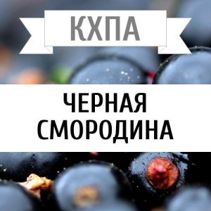 КХПА - Черная смородина 10мл