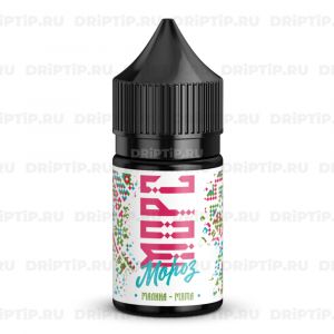 Морс Мороз Salt - Малина Мята