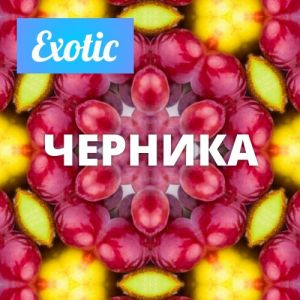 Exotic ЧЕРНИКА 10мл Exotic ЧЕРНИКА 10мл