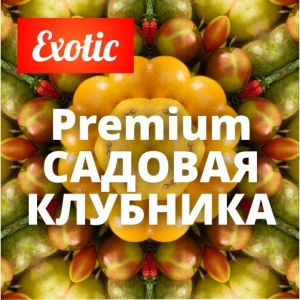 Exotic Premium САДОВАЯ КЛУБНИКА 10мл