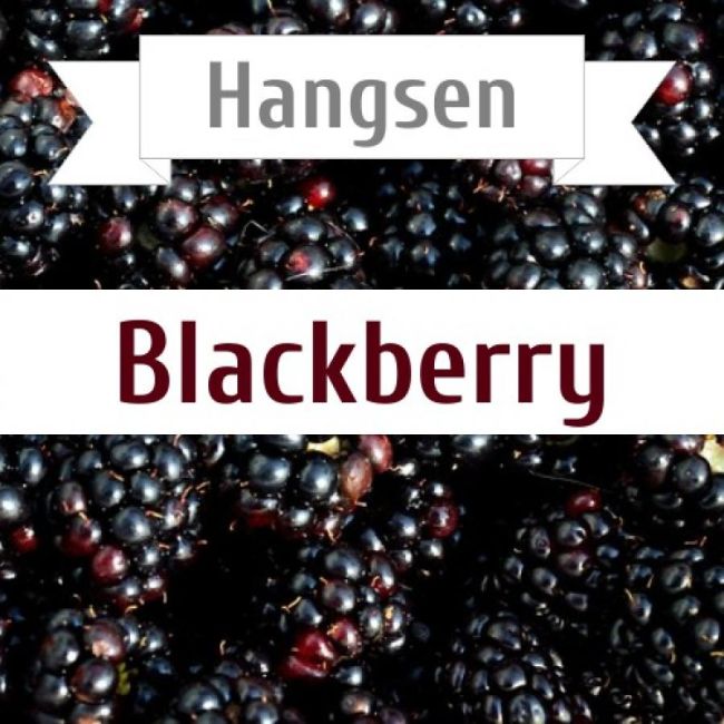 Hangsen Blackberry 10 мл Hangsen Blackberry 10 мл