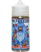 Mr.freeze - Forest berry