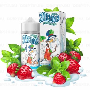 Stuffed Bear - Snegovik