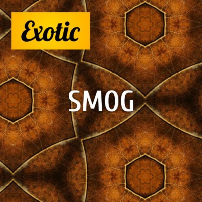 Exotic SMOG 10мл
