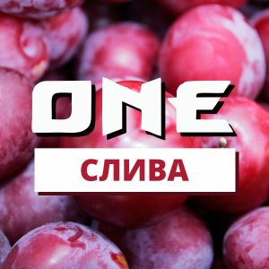 ONE Слива